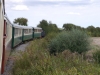 5 Train (14)